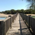 Cerrajero en Puerto Real 24 horas